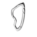 BENT CARABINER